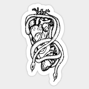 Clear Snakes with Human Hearts Sticker